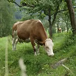 Biobauernhof Spieszschweiger Çiftlik konaklama