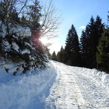 Farm stay Biobauernhof Spieszschweiger Sankt Nikolai im Solktal