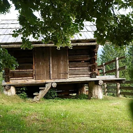 Biobauernhof Spieszschweiger ファームステイ *