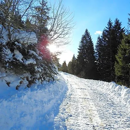 Biobauernhof Spieszschweiger * Sankt Nikolai im Sölktal