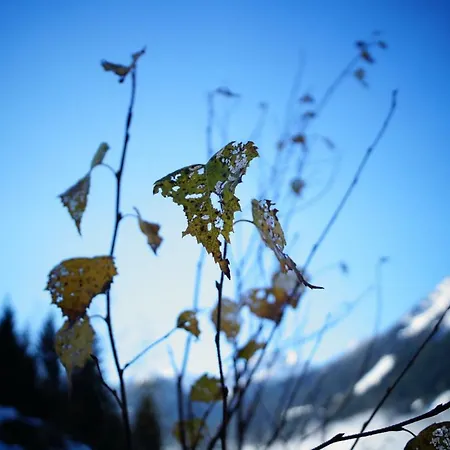 博奥恩福斯派维格农家乐 Sankt Nikolai im Sölktal