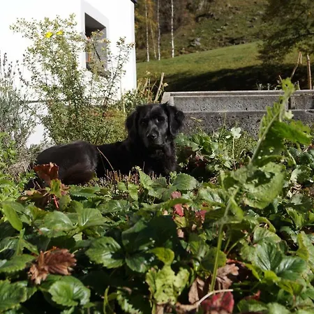 农家乐 博奥恩福斯派维格农家乐