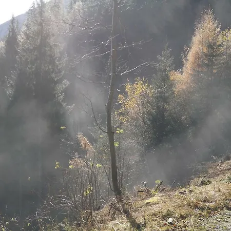 博奥恩福斯派维格农家乐 农家乐 *
