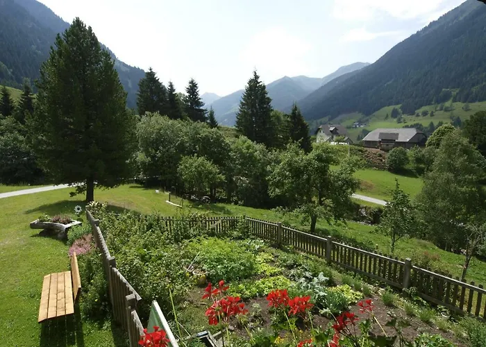 Biobauernhof Spieszschweiger Farm stay *