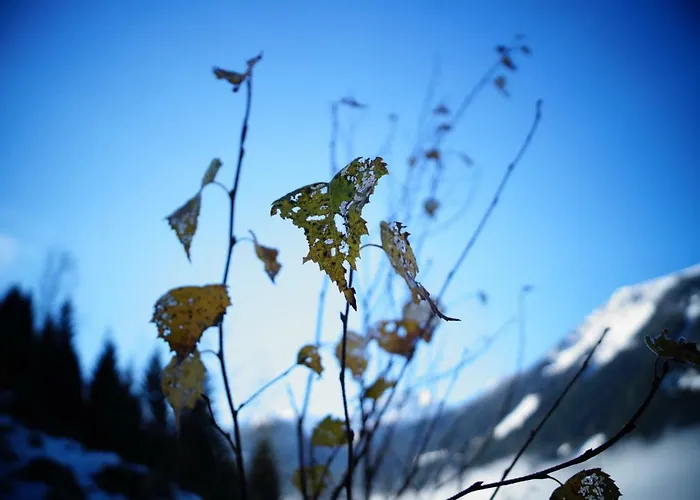 Biobauernhof Spieszschweiger Sankt Nikolai im Sölktal