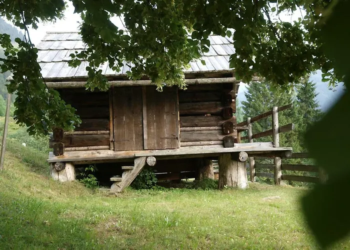 Biobauernhof Spieszschweiger Farm stay