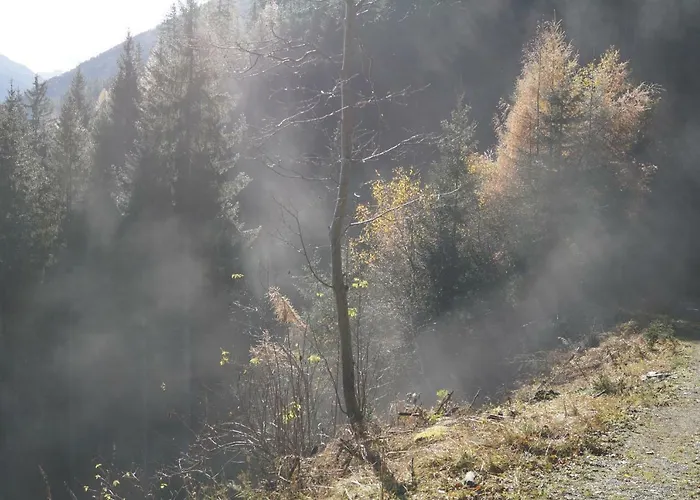 Biobauernhof Spieszschweiger בית חווה *